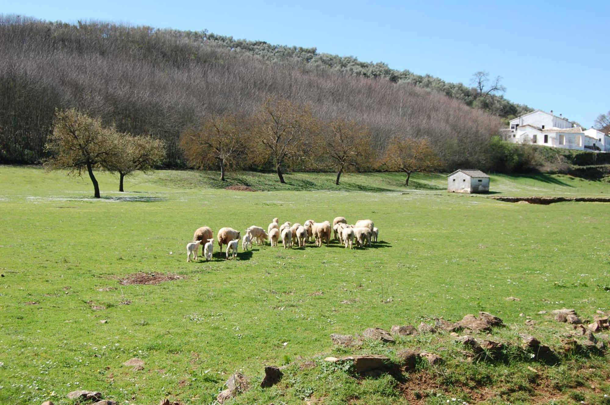 Los Pozos De La Nieve Constantina Exterior foto